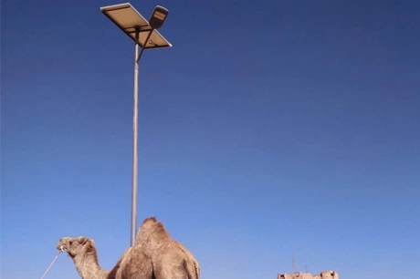 LYBIA_Solar Street Lights on Highways Connecting Airports
