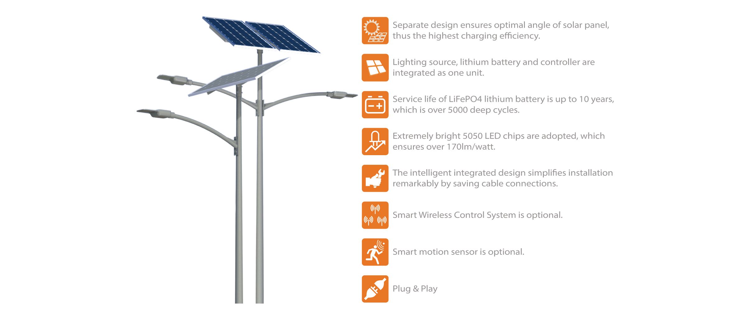 BISON All-In-Two Solar Street Light (30W-40W)