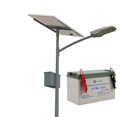 Gel Battery Solar Street Light (30W-200W)