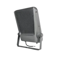 Master INL-FLD20 01 INL-FLD20 LED Flood Light