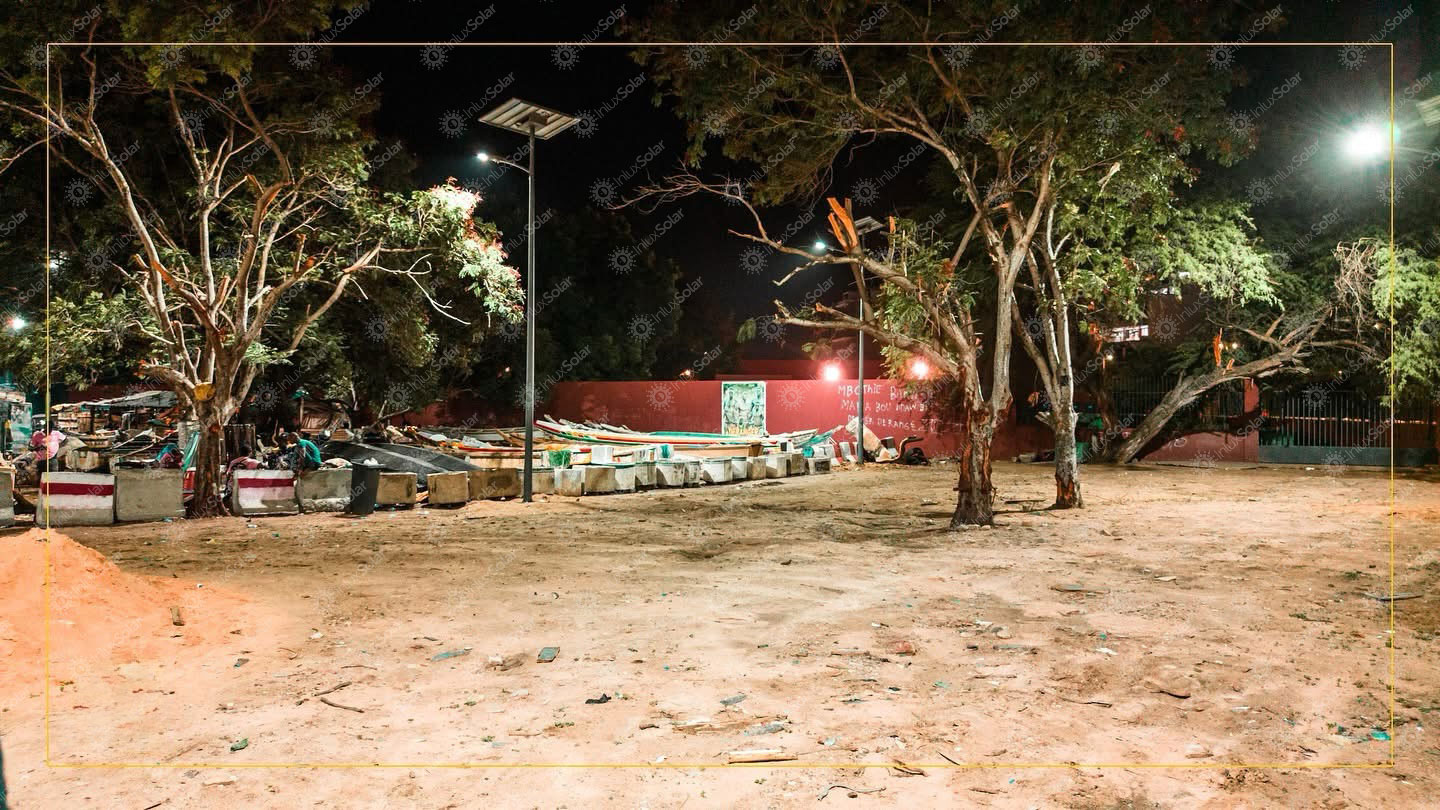 Solar street lights illuminating a sandy community area with mature trees at night