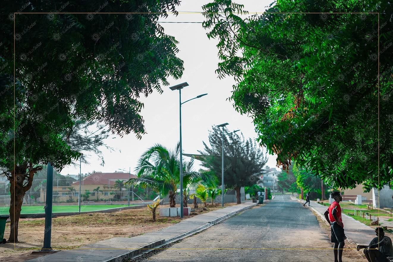 Pedestrian walking on a tree-lined road with solar street lights