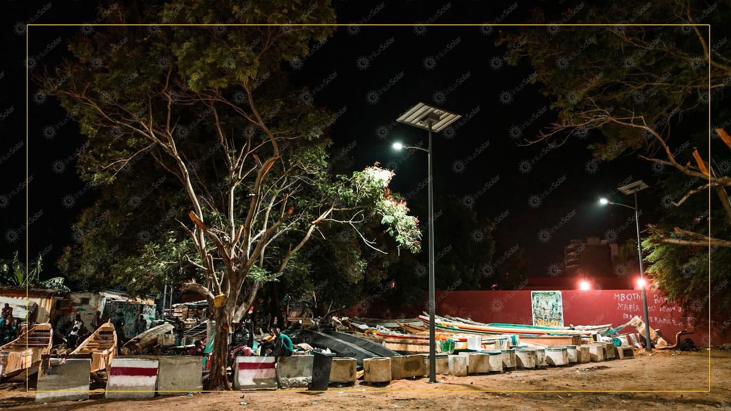 Night road scene with solar street lights illuminating homes and trees