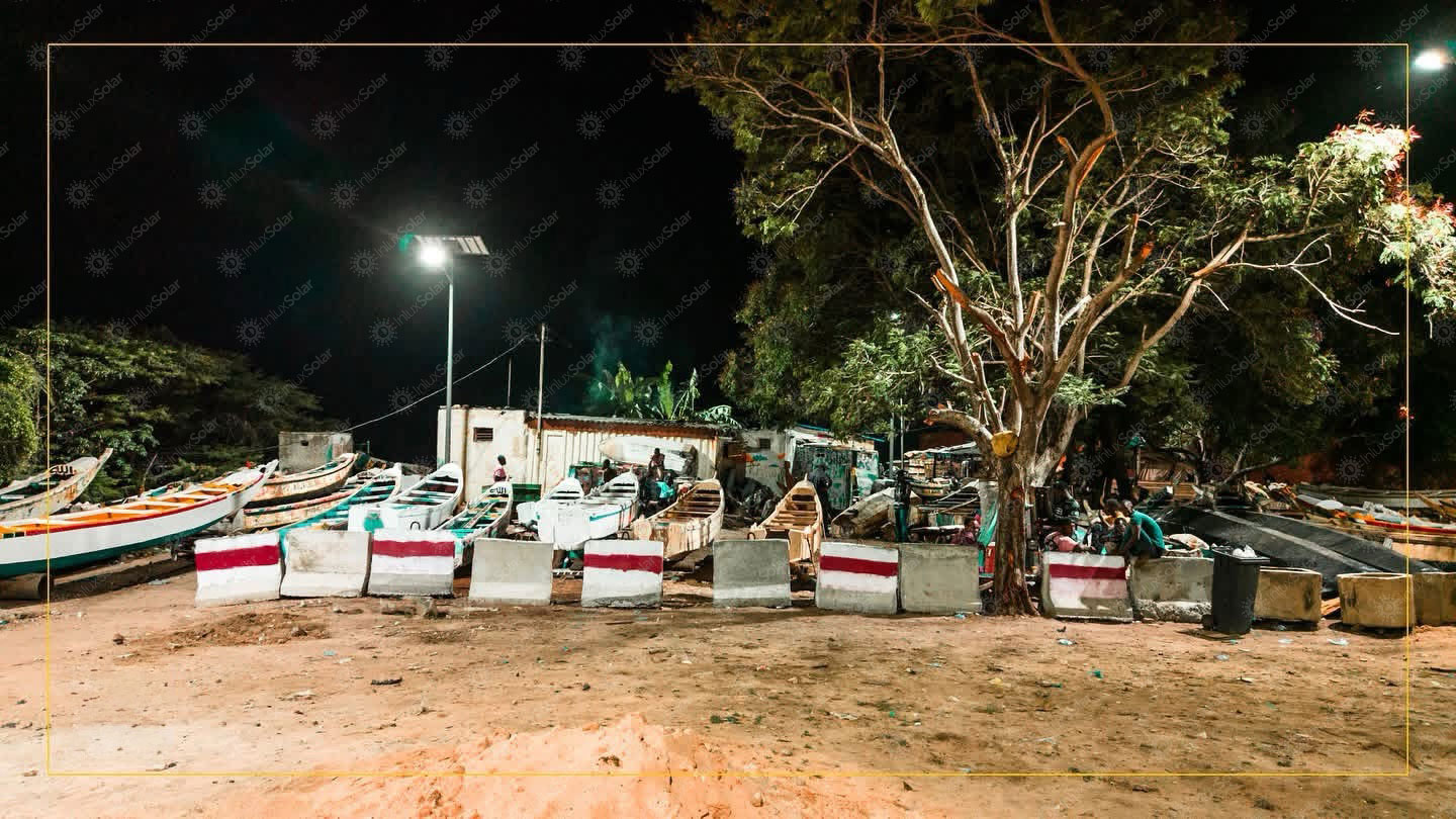 Solar street light illuminating a sandy community parking area with trees at night
