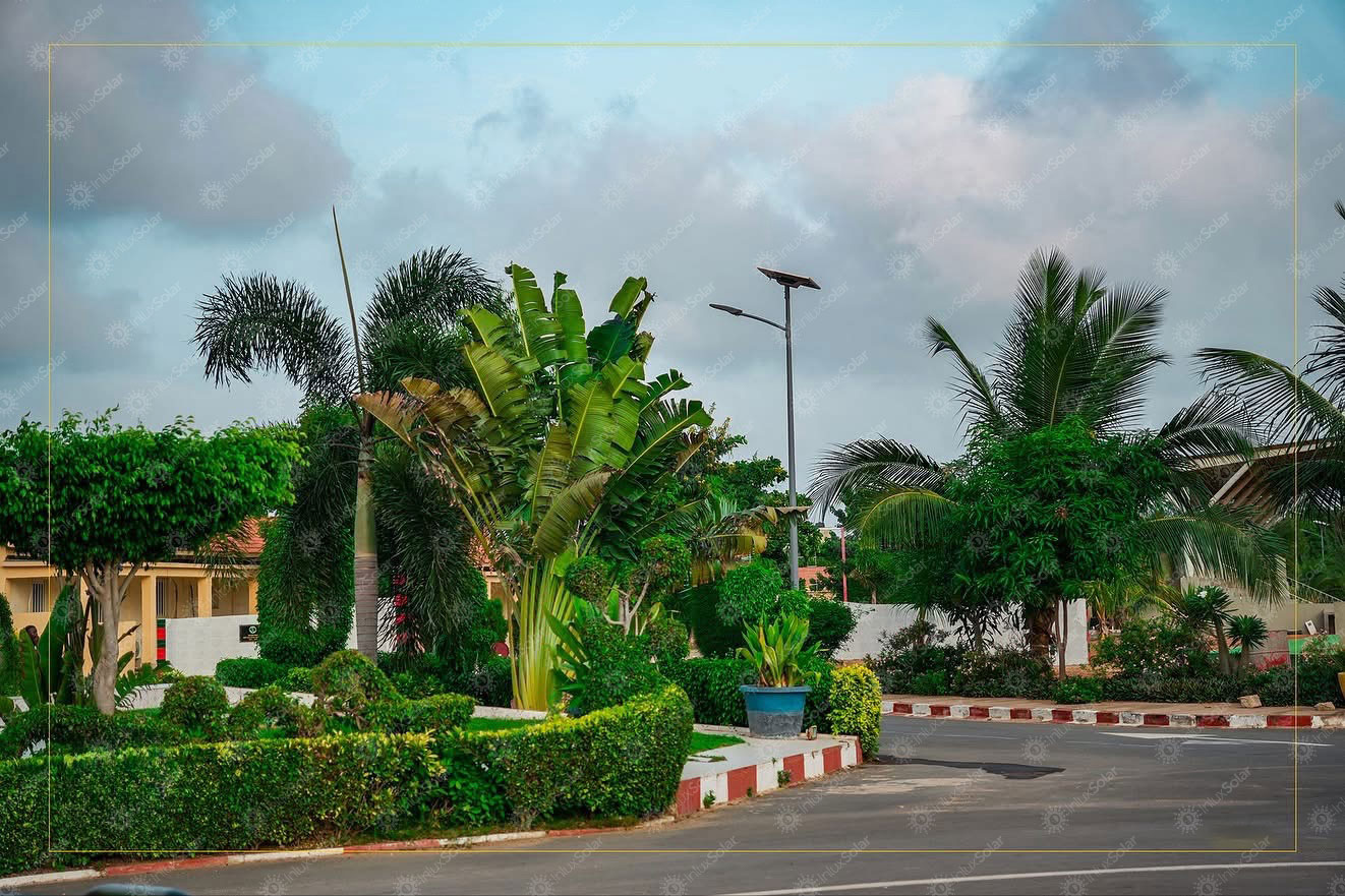 Daytime residential road with palm trees and split type solar street light in Senegal