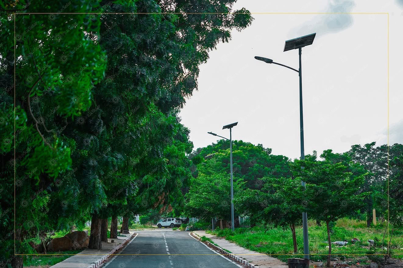Tree-lined community road with solar street lights installed on both sides