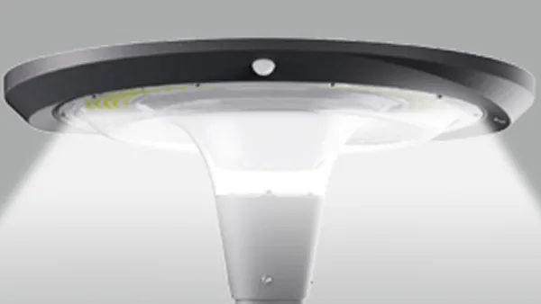 Decorative LED Lamp
